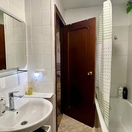 The Jungle Apartment *
